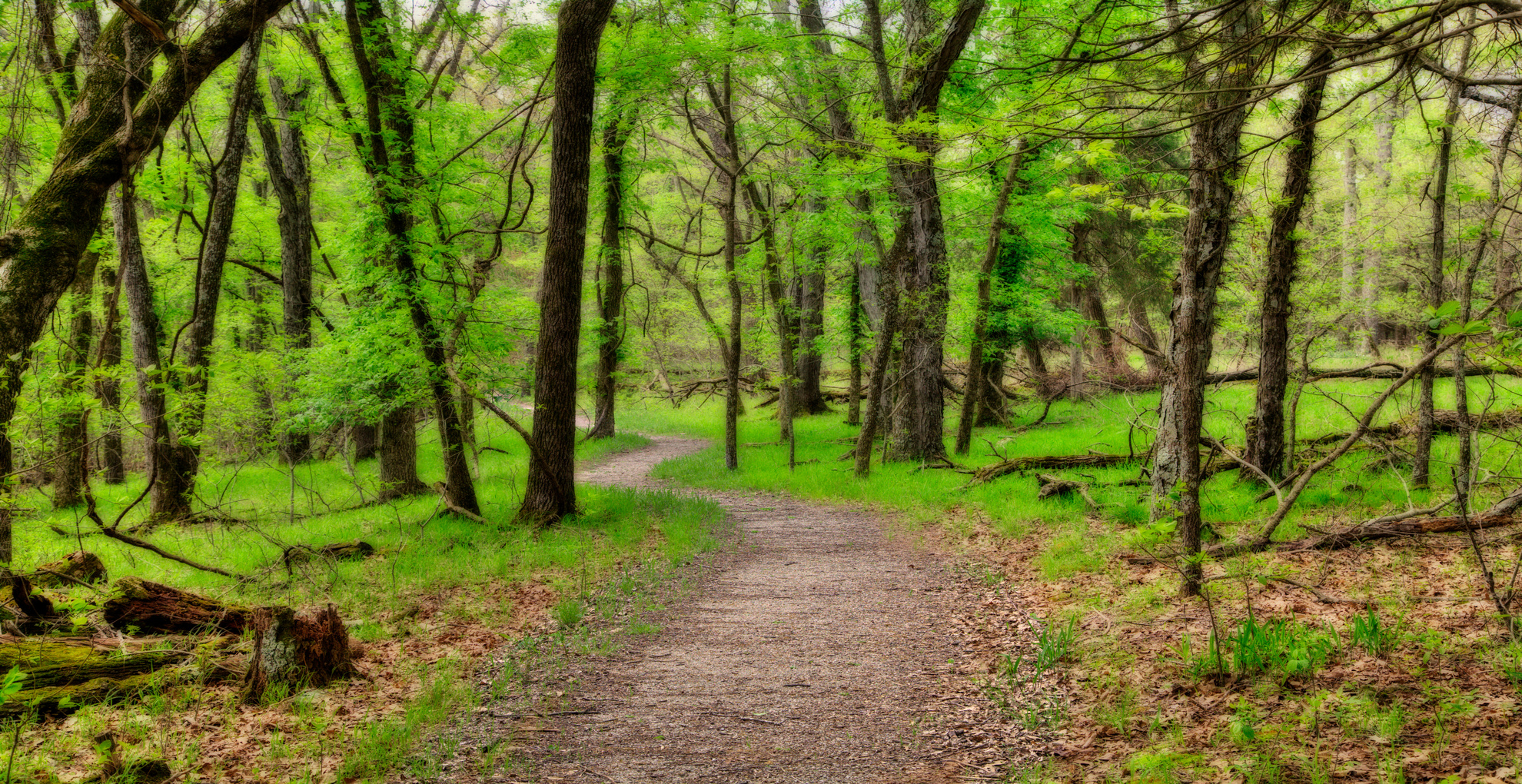 Fawn Ridge Trail ozark trail