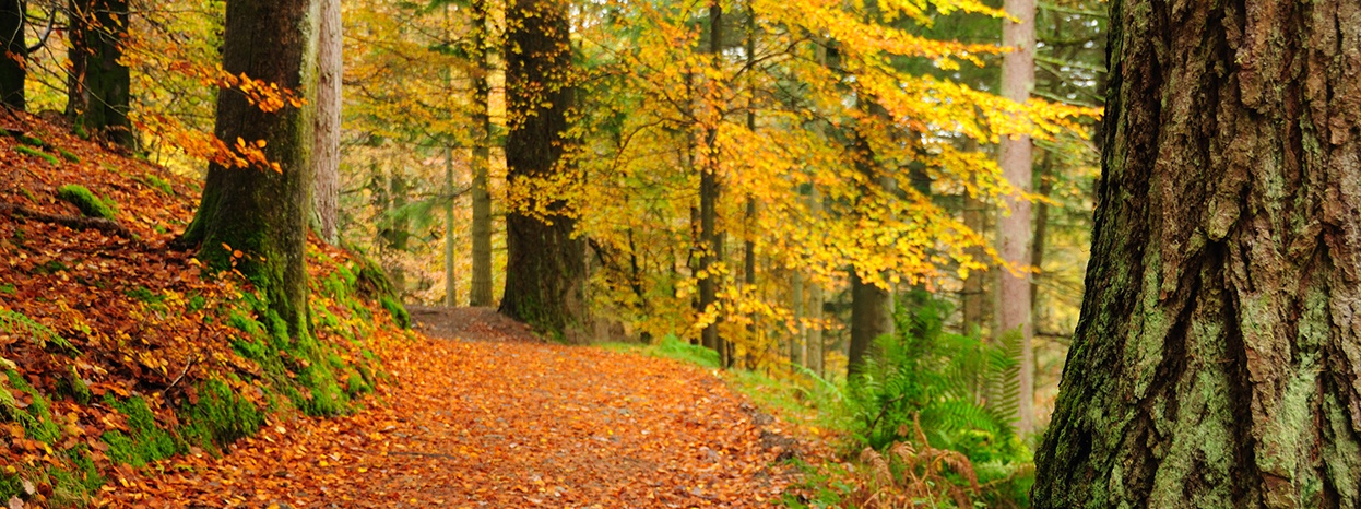 Best Autumns Getaways