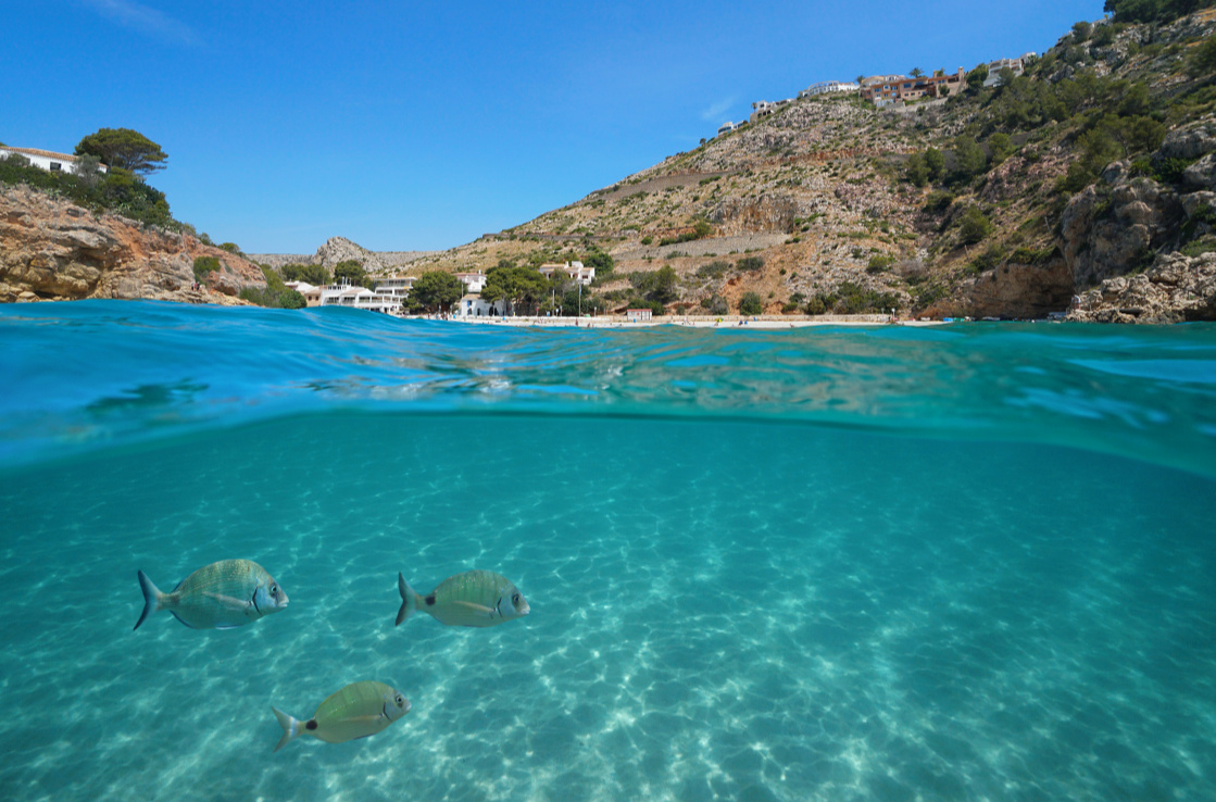 La Granadella Beach La Granadella Beach