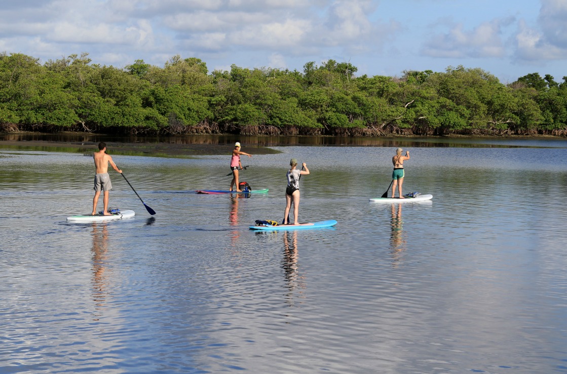 Paddle Boarding