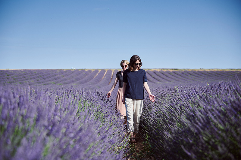 Valensole – the home of lavender Valensole – the home of lavender