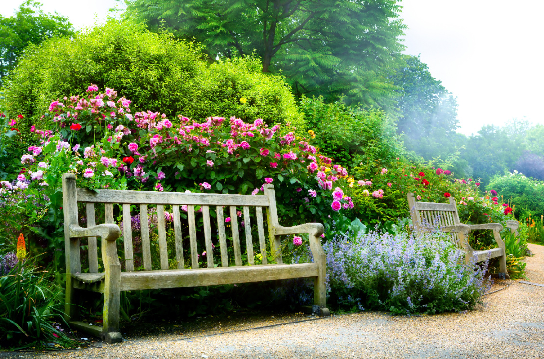 A garden bench surrounded by pink and red flowers in a garden.