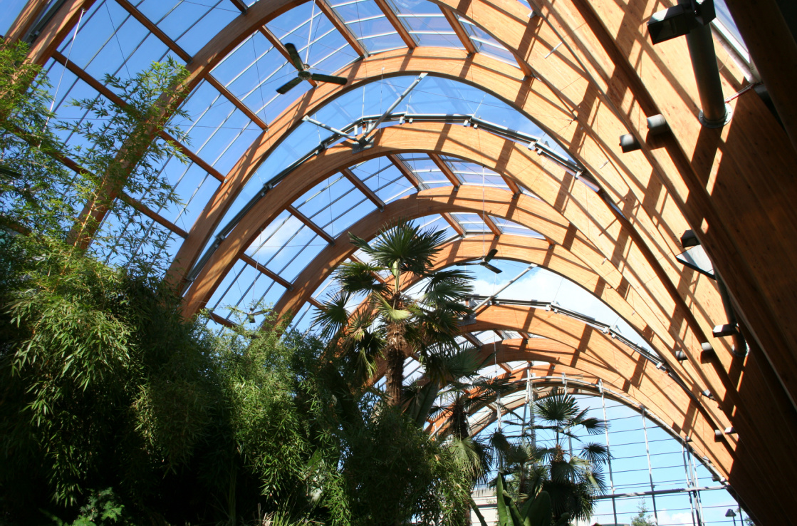 Sheffield Winter Gardens Sheffield Winter Gardens