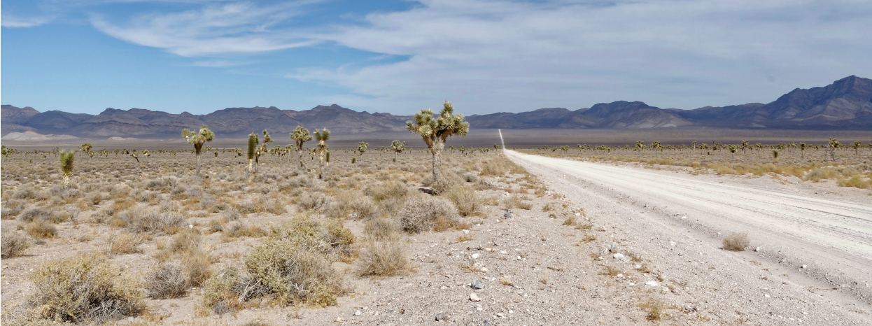 Desert Road