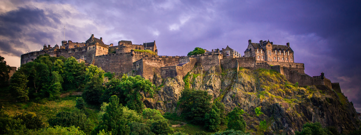 Castle on a hillside surrounded by vegetation
