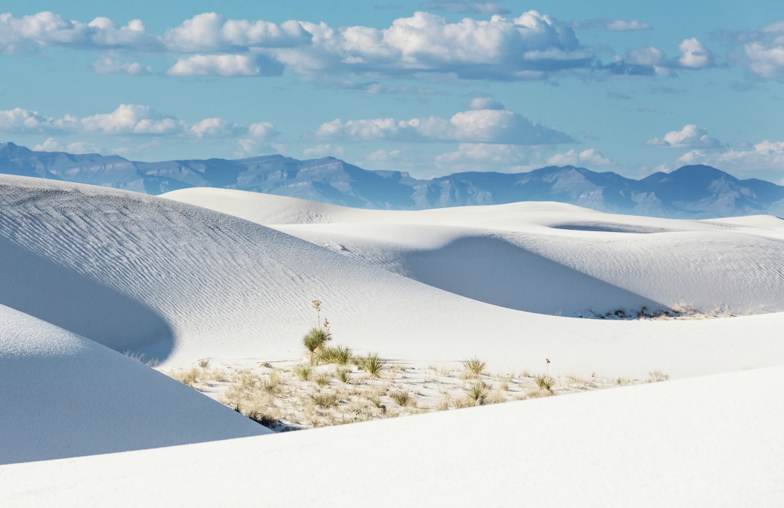 The White Sands The White Sands