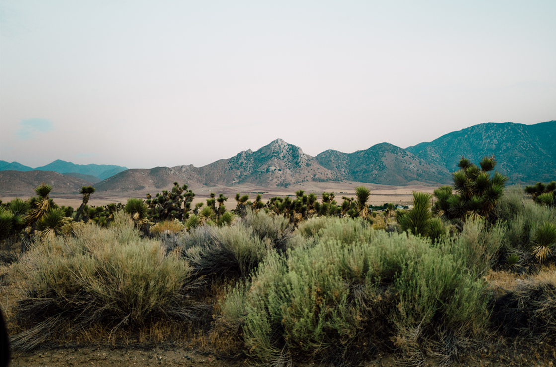 Fire Valley Fire Valley