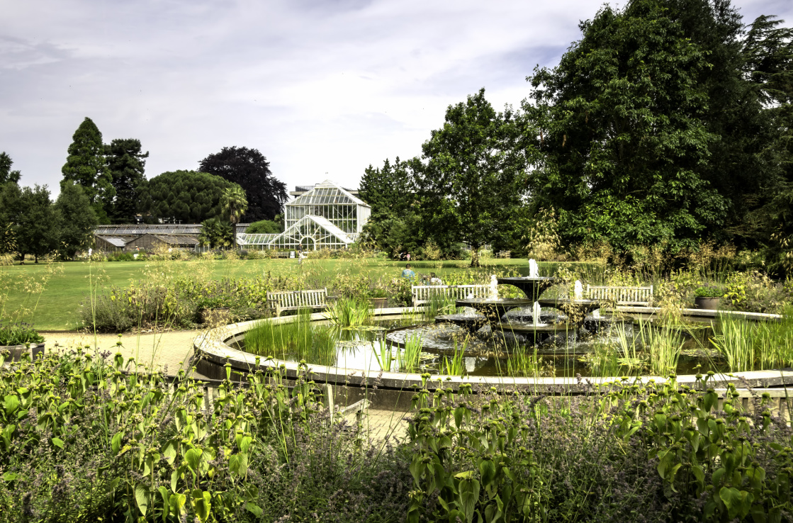 Cambridge Botanic Cambridge Botanic