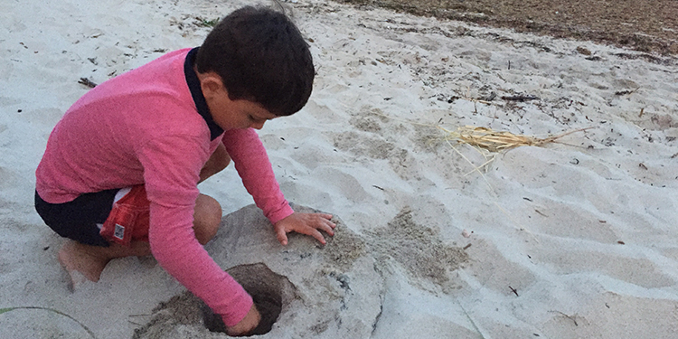 Kid with a Pink Sweater Playing in the Sand Kid with a Pink Sweater Playing in the Sand