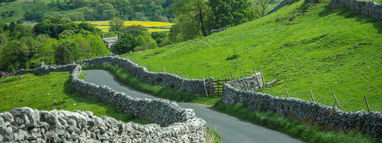 Countryside Road