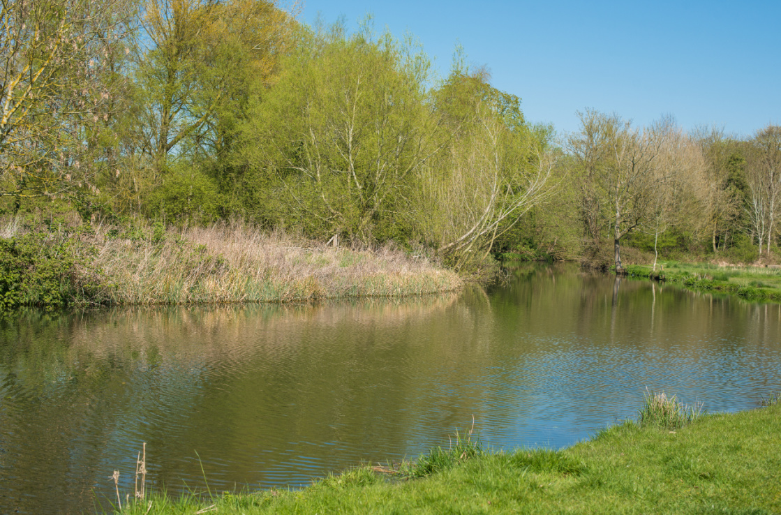 Whitlingham Country Park Whitlingham Country Park