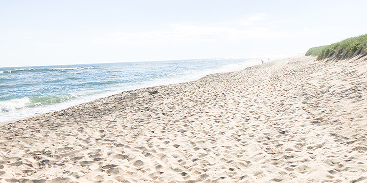 A beach shore