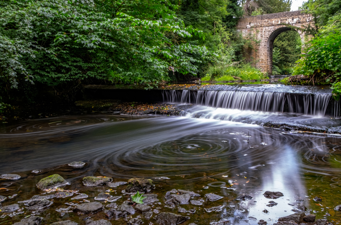 A stream amidst vegetation, passing under a stone bridge. A stream amidst vegetation, passing under a stone bridge.