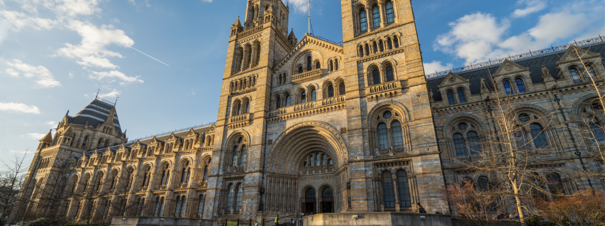 12 best things to do in London