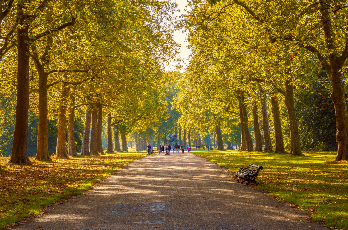 Hyde Park, London