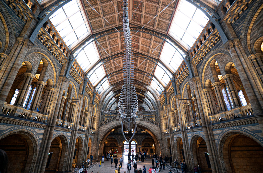 Natural History Museum, London