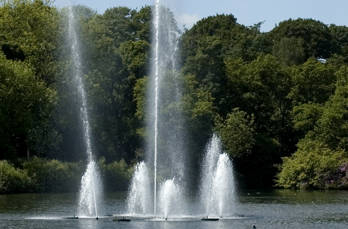 Roundhay Park Roundhay Park