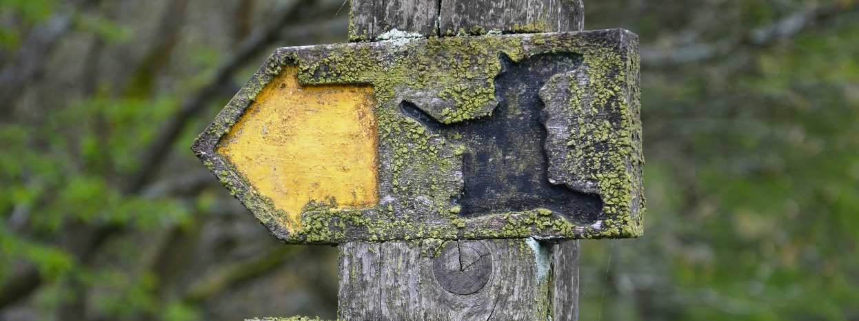 Spellbinding Lancashire: The Pendle Witches Trail