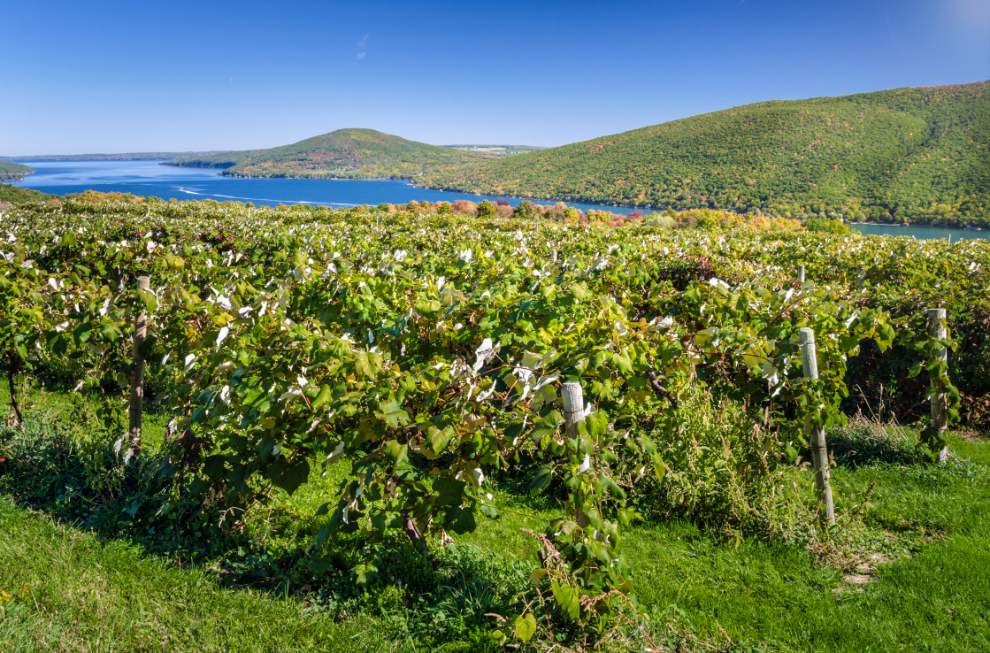 Finger Lakes Finger Lakes