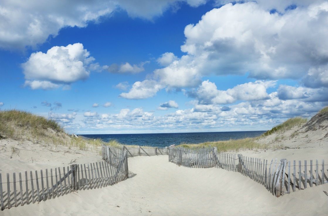 Cape Cod dunes
