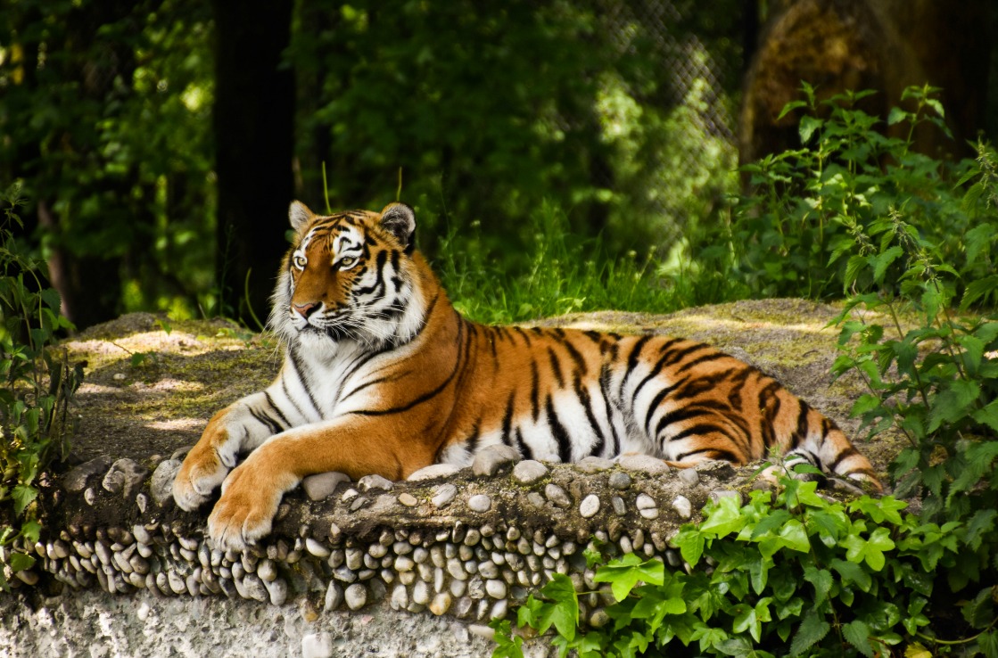 Hellabrunn Zoo