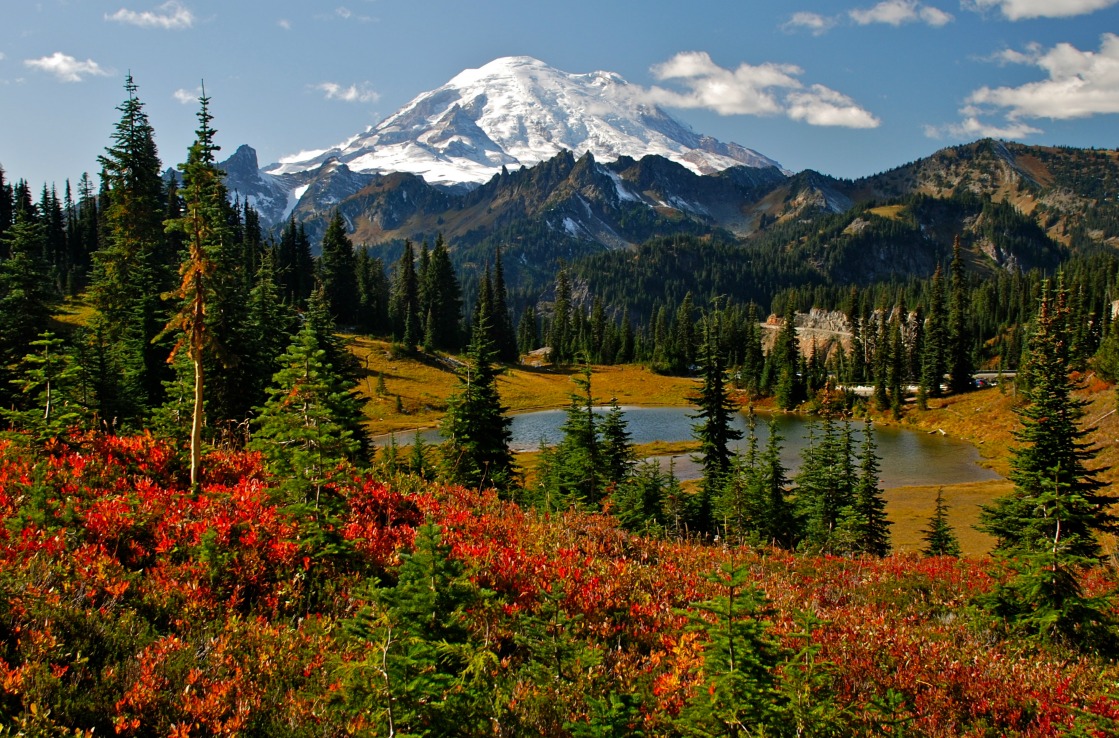 Mount Rainier Mount Rainier