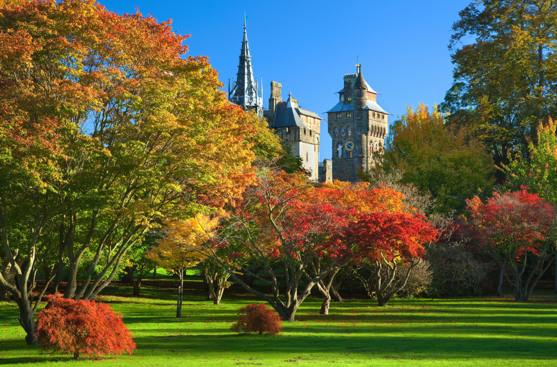 Bute Park