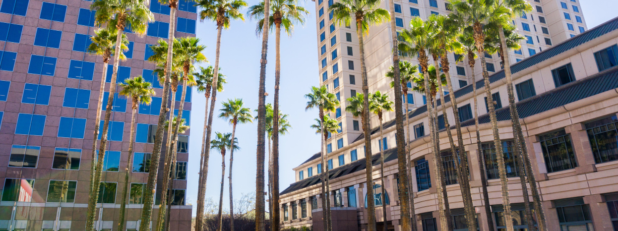 Techy Tours Of Silicon Valley