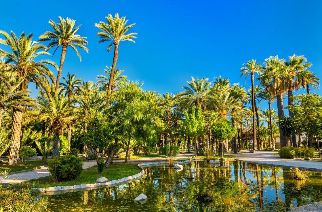 Palmeral