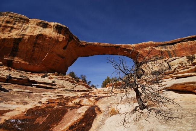 Natural Bridges National Monument, Utah Natural Bridges National Monument, Utah