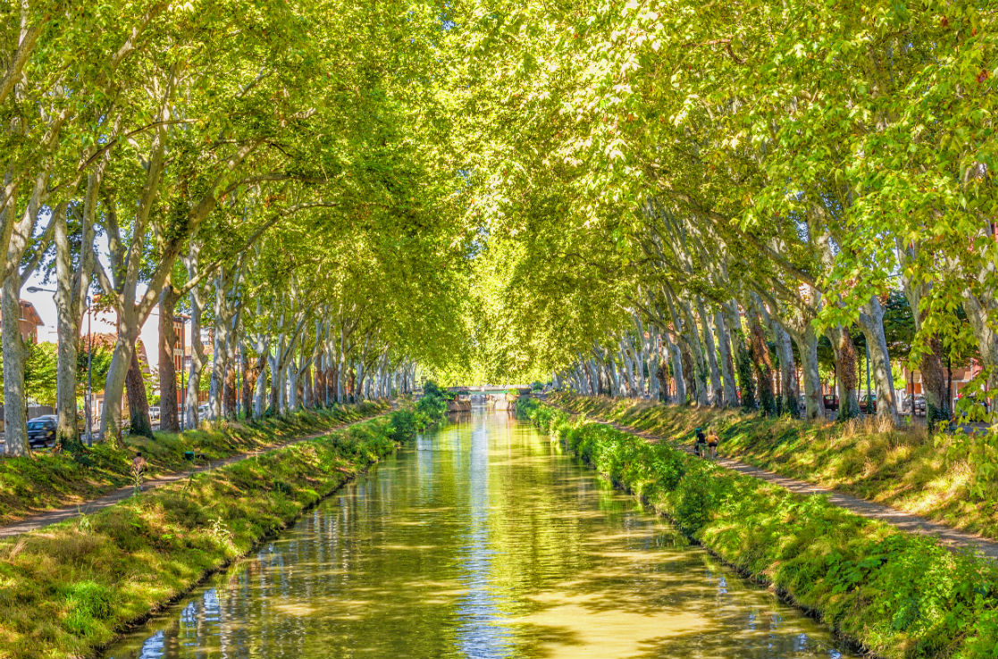 The canal