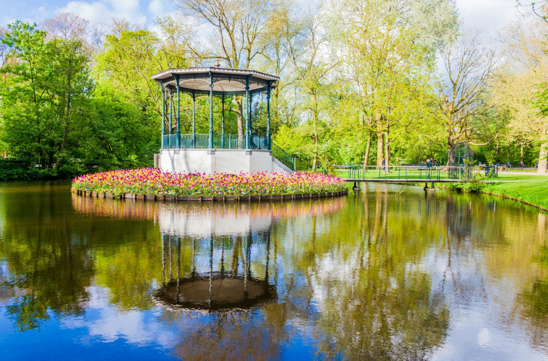 Pond and Tulips Pond and Tulips