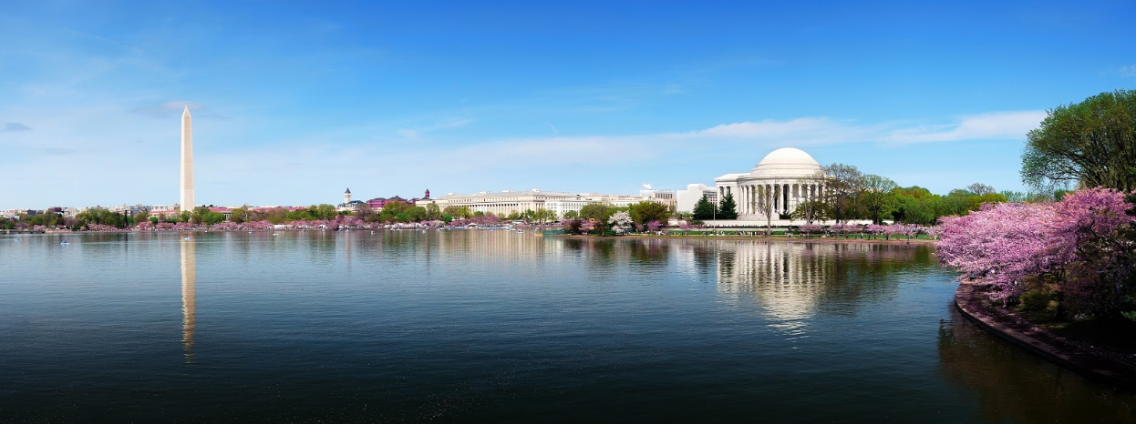 Weird and wonderful Washington DC