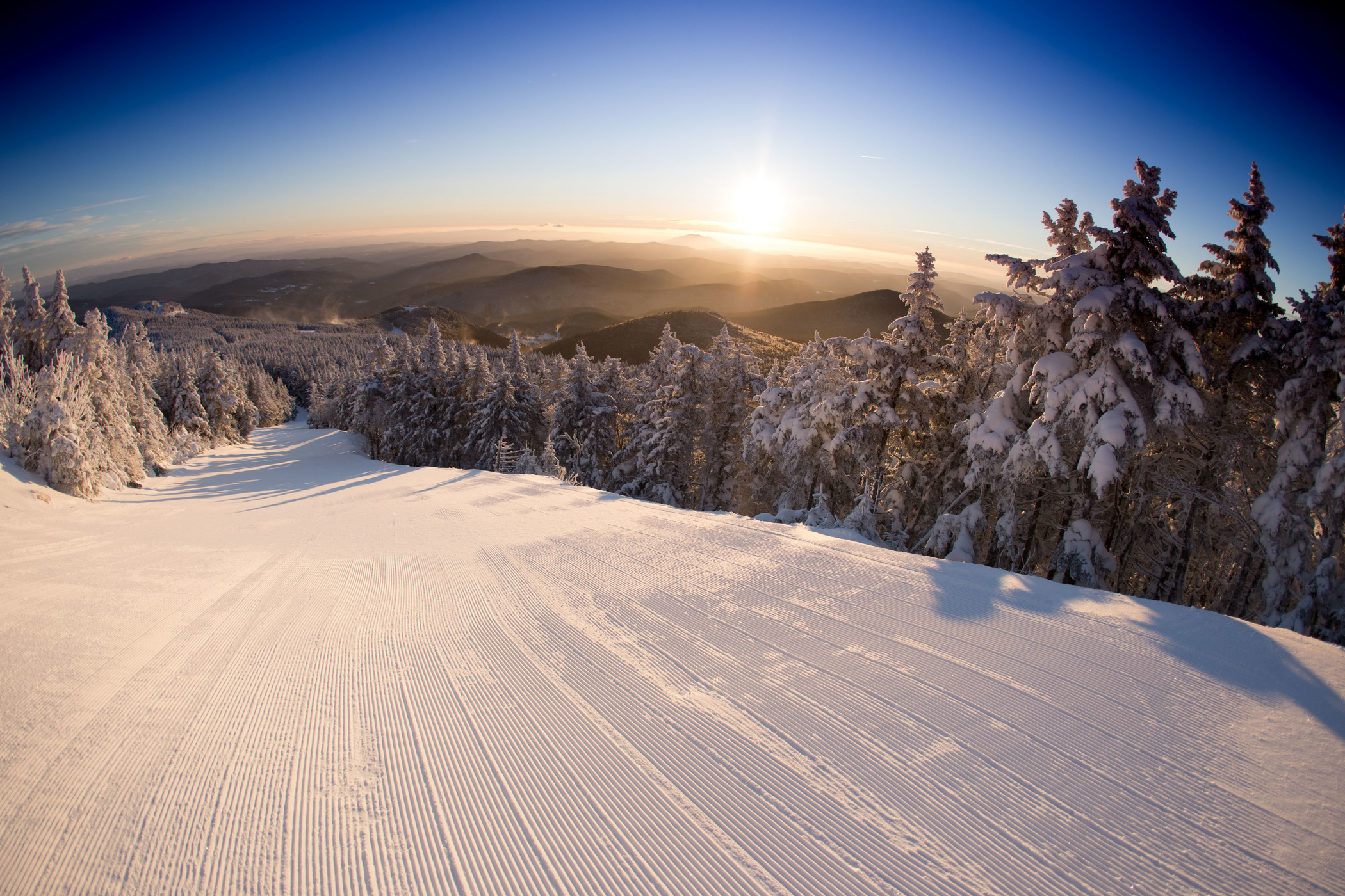 Snow View