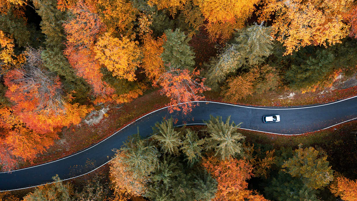 Hertz Autumn Car Hire Sale 2026