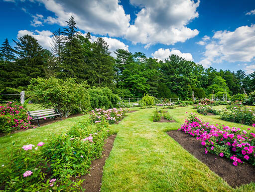 Garden Garden