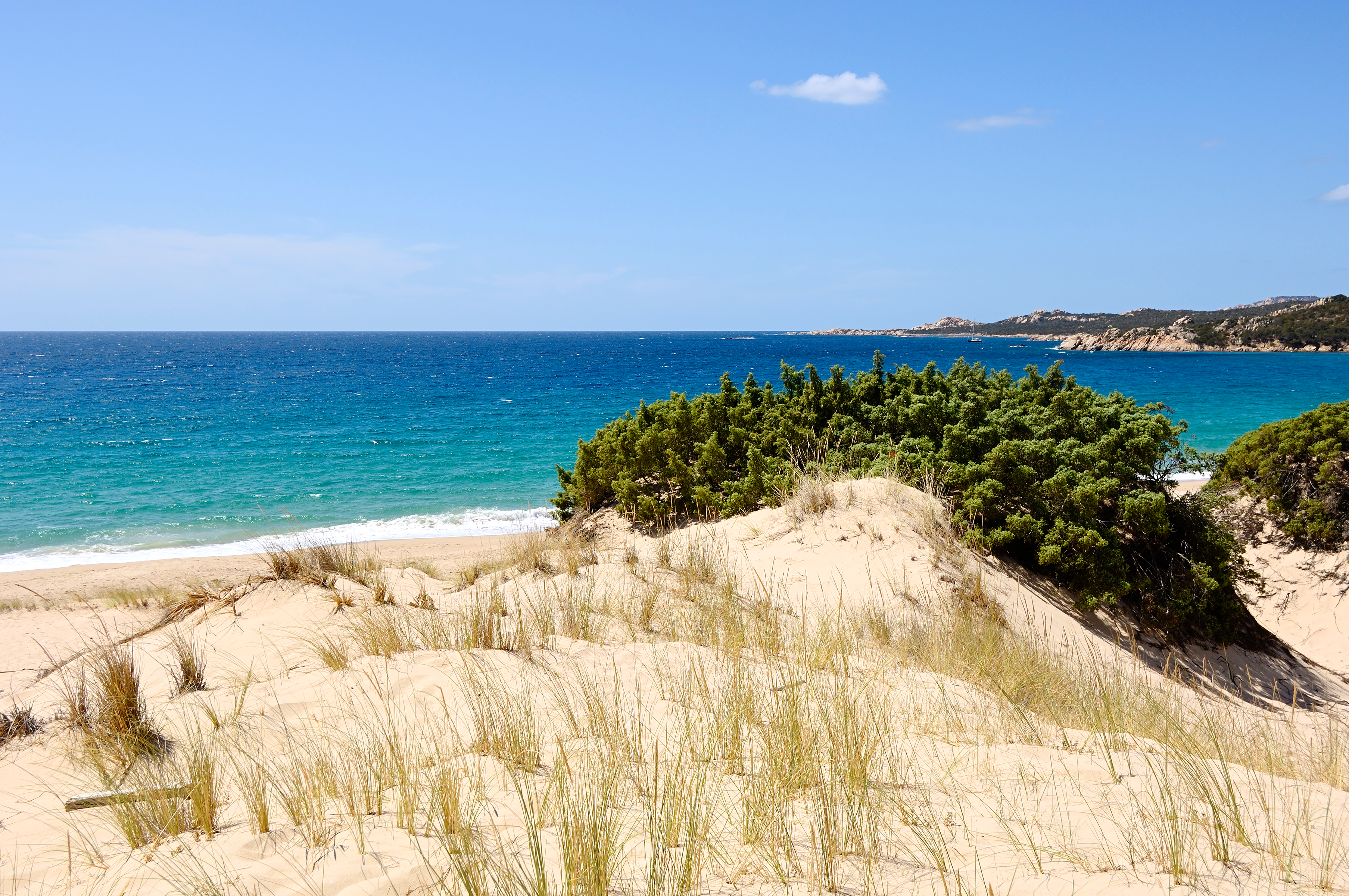 French Beach French Beach