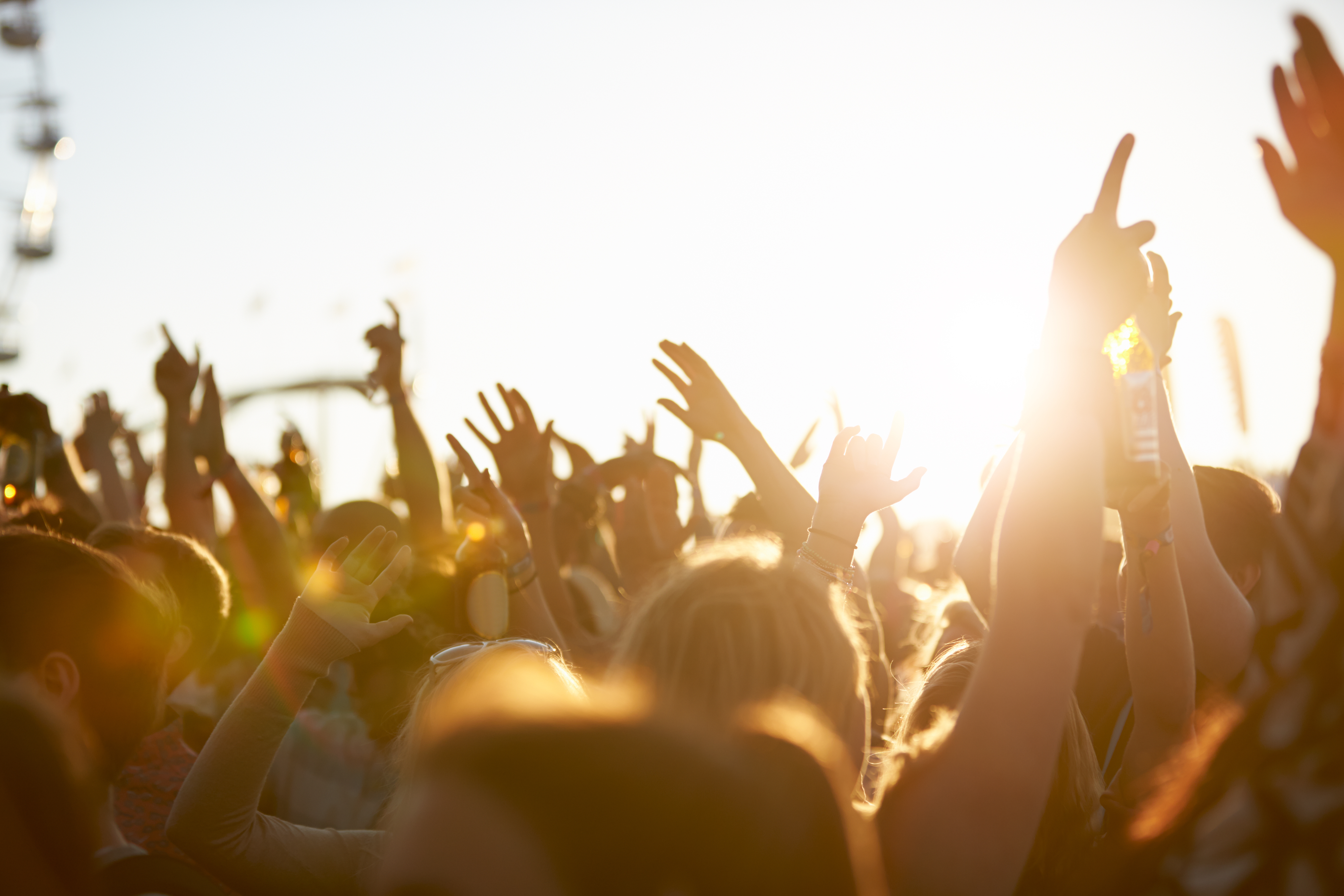 204859123 Audience At Outdoor Music Festival