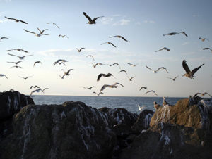 A Sculpture Race in a Seaport Village: Port Townsend’s Amazing Race