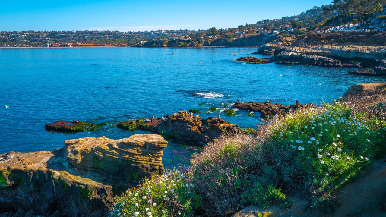 Top Outdoor Adventures in San Diego Hertz Blogs