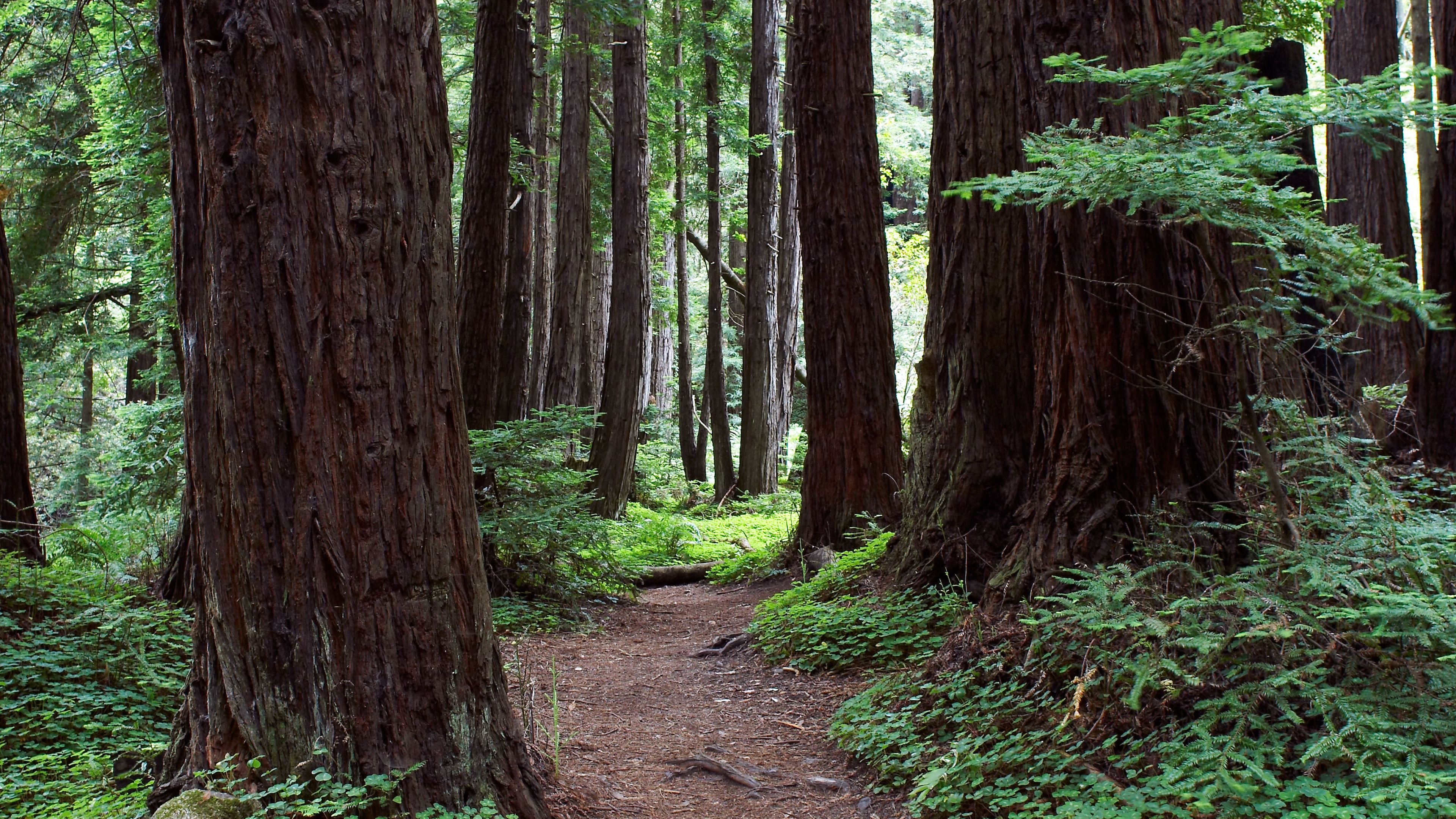 Limekiln State Park Limekiln State Park