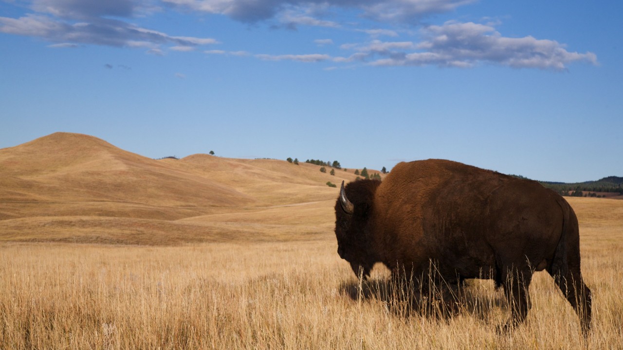 Best things to do on a North Dakota Road Trip Hertz Blog