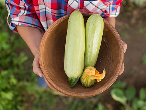 Gardener holding a wooden bowl of fresh vegetables on a summer day