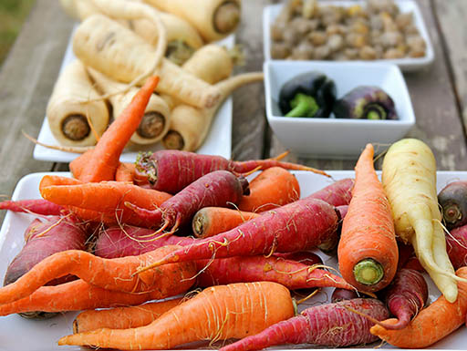 Afternoon view of a variety of fresh vegetables in white bowls and plates on a rustic wooden table Afternoon view of a variety of fresh vegetables in white bowls and plates on a rustic wooden table