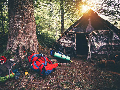 Camping site Camping site