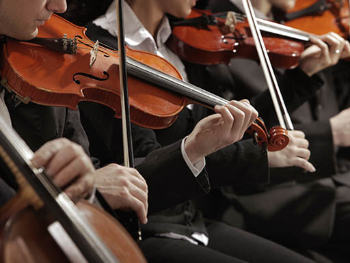 Violin players Violin players