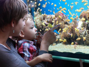 Mother and child look at fish in an aquarium
