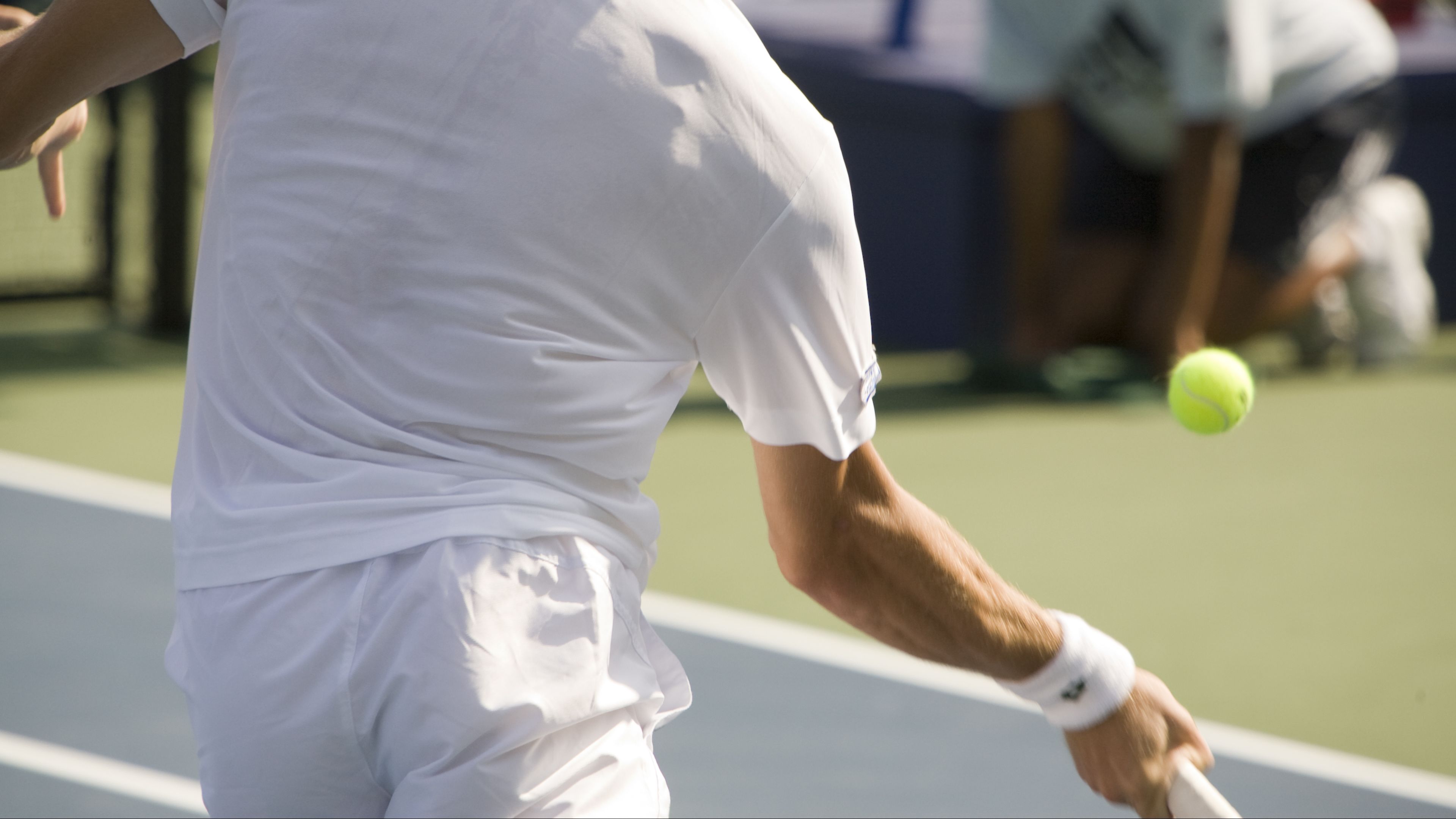 professional tennis player professional tennis player