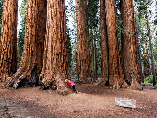 National Parks Week: Time to Explore the Country’s Most Treasured Sites