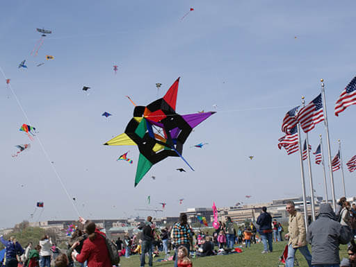 People flying kites in a sunny field during the 2010 Cherry Blossom Kite Festival People flying kites in a sunny field during the 2010 Cherry Blossom Kite Festival